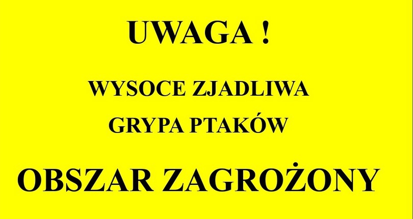 Uwaga, ptasia grypa!