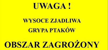 Uwaga, ptasia grypa!